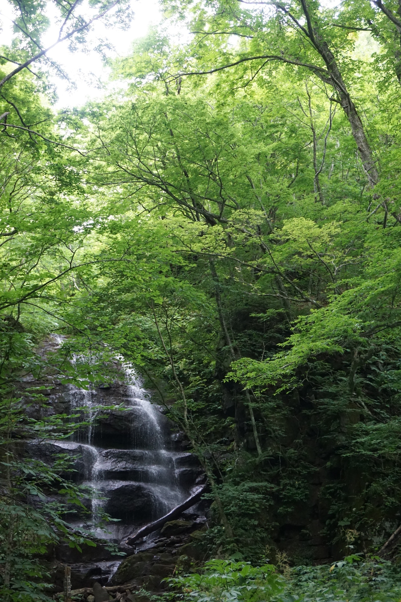 北海道自助遊攻略