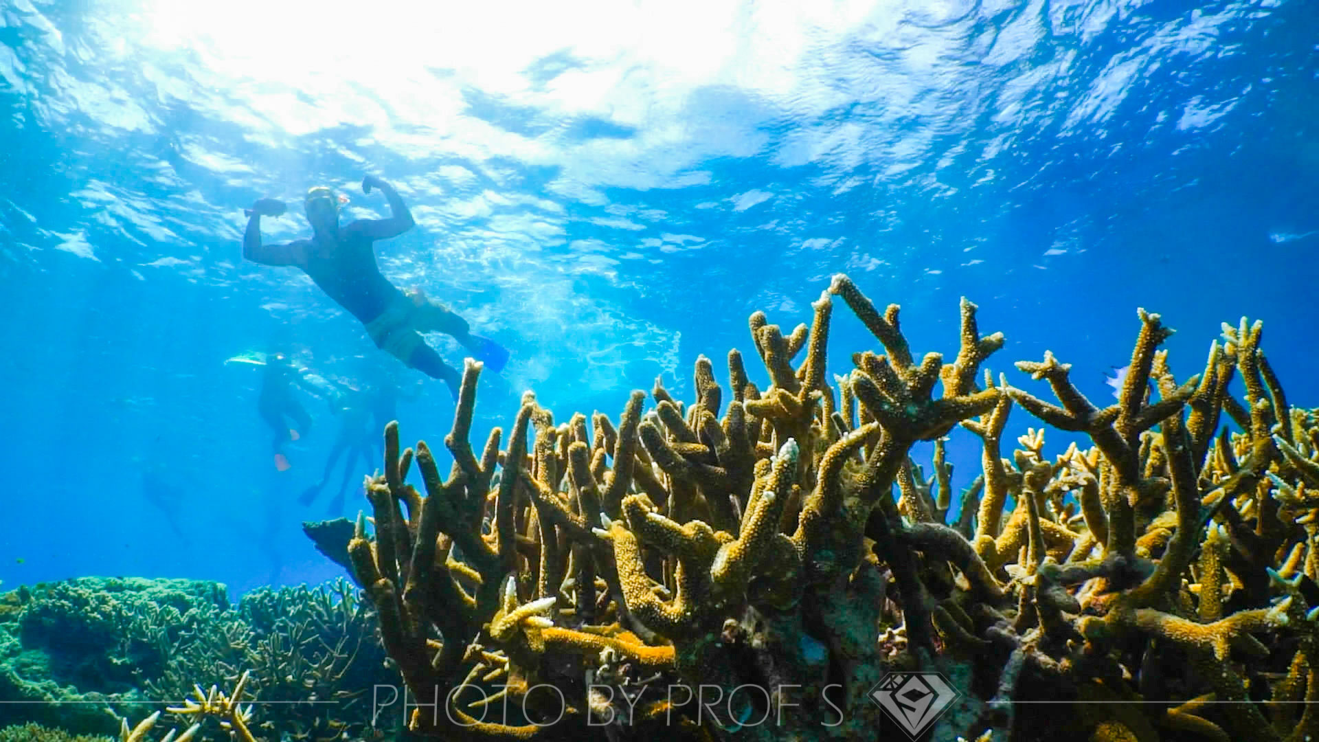 5 大东海潜水 价格实惠
