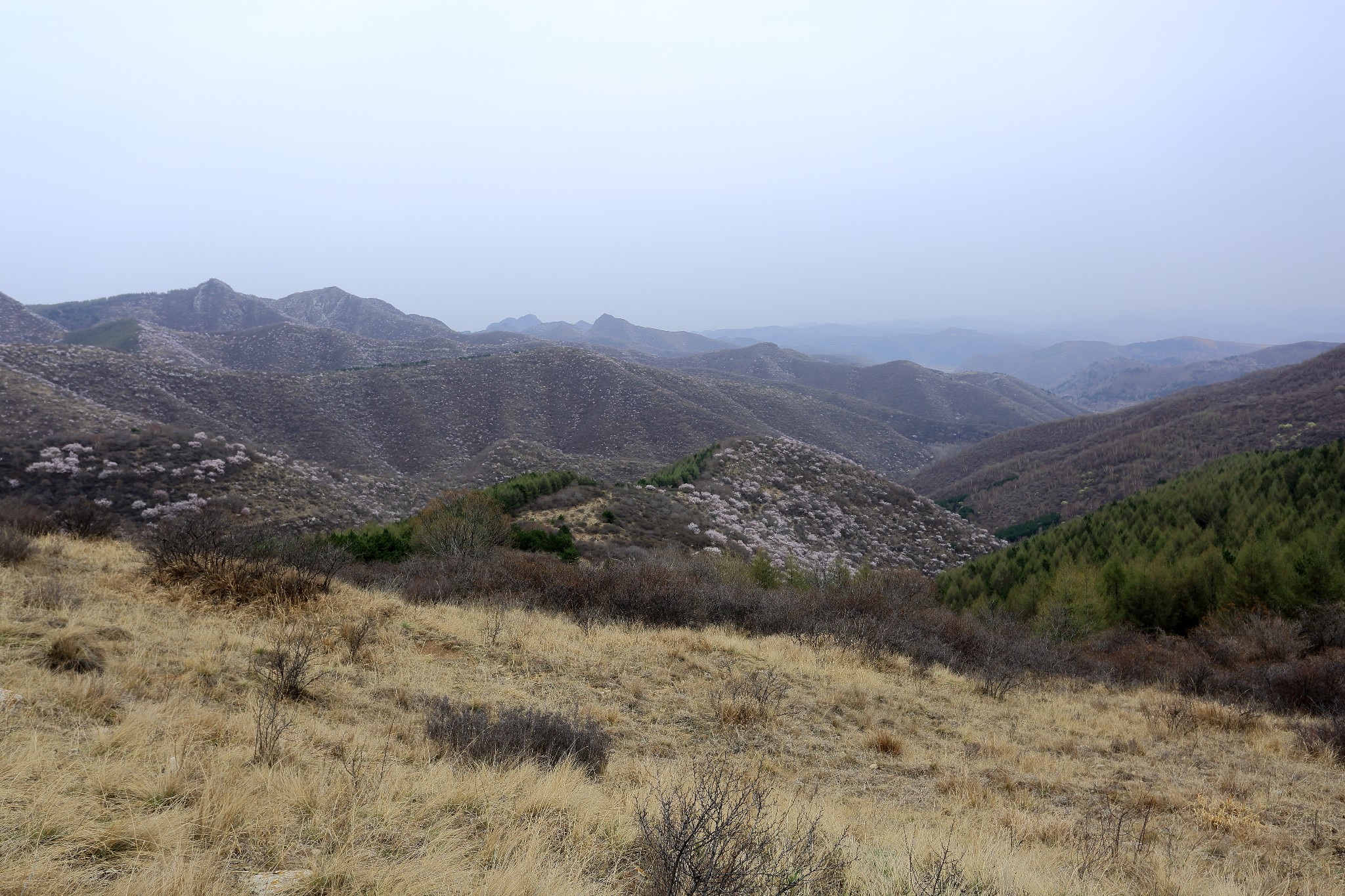 在那桃花盛开的地方——尖山--盂县游记--马蜂窝
