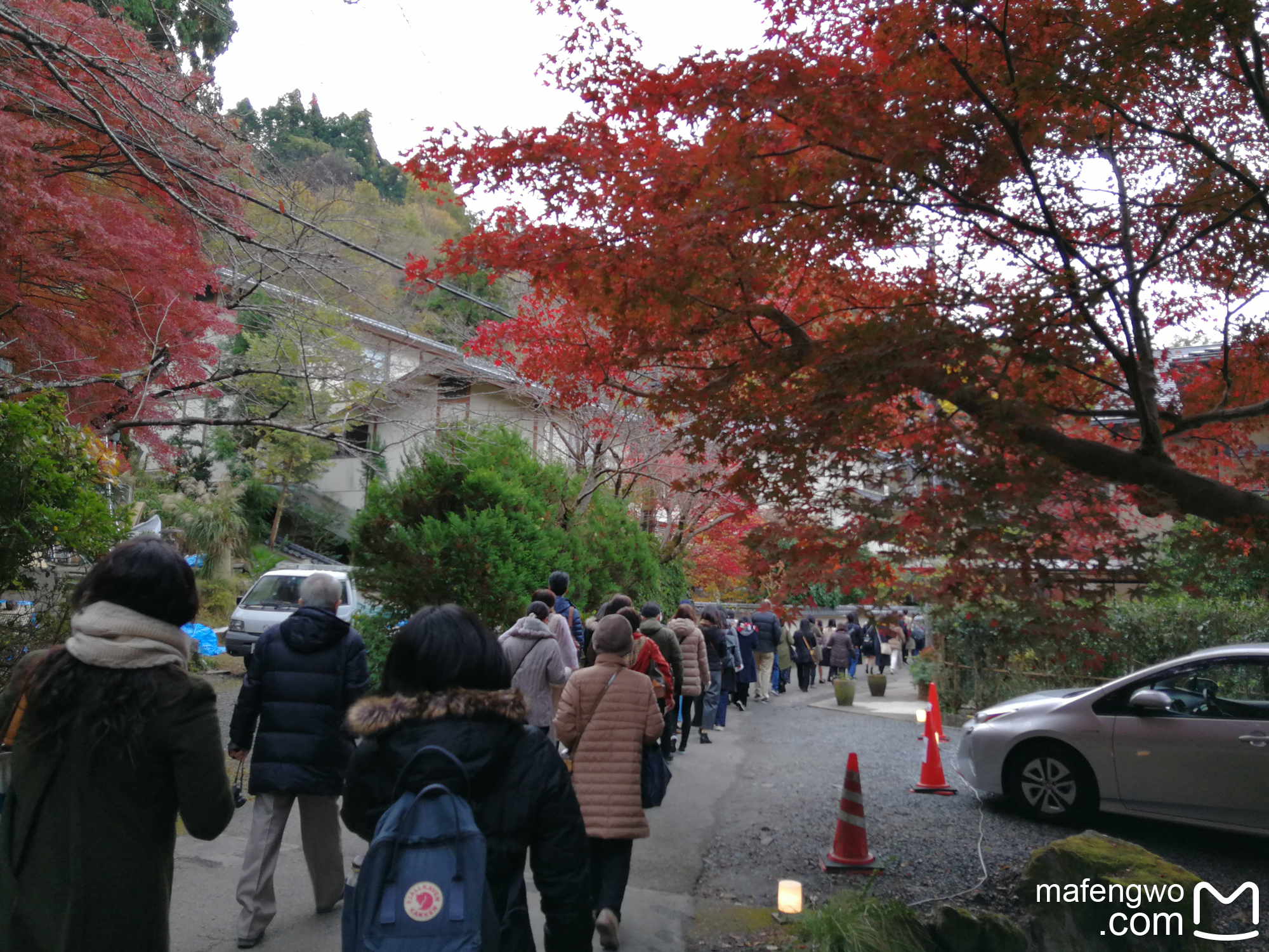 京都自助遊攻略