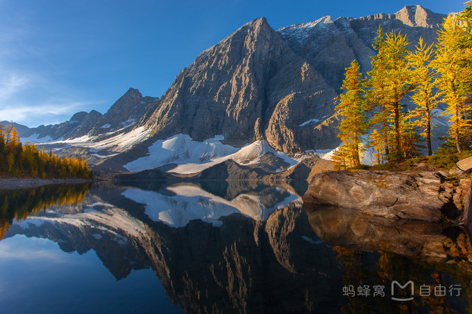 [广州送签]加拿大旅游签证(全国受理+超快速+可