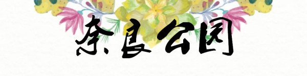 奈良公园 奈良公园