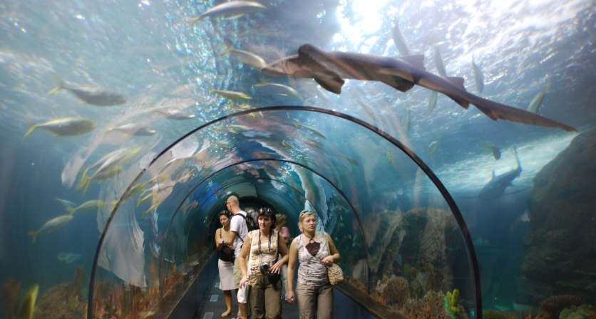欧洲最大海洋公园 特内里费岛鹦鹉公园(loro parque)门票(免排队入场)