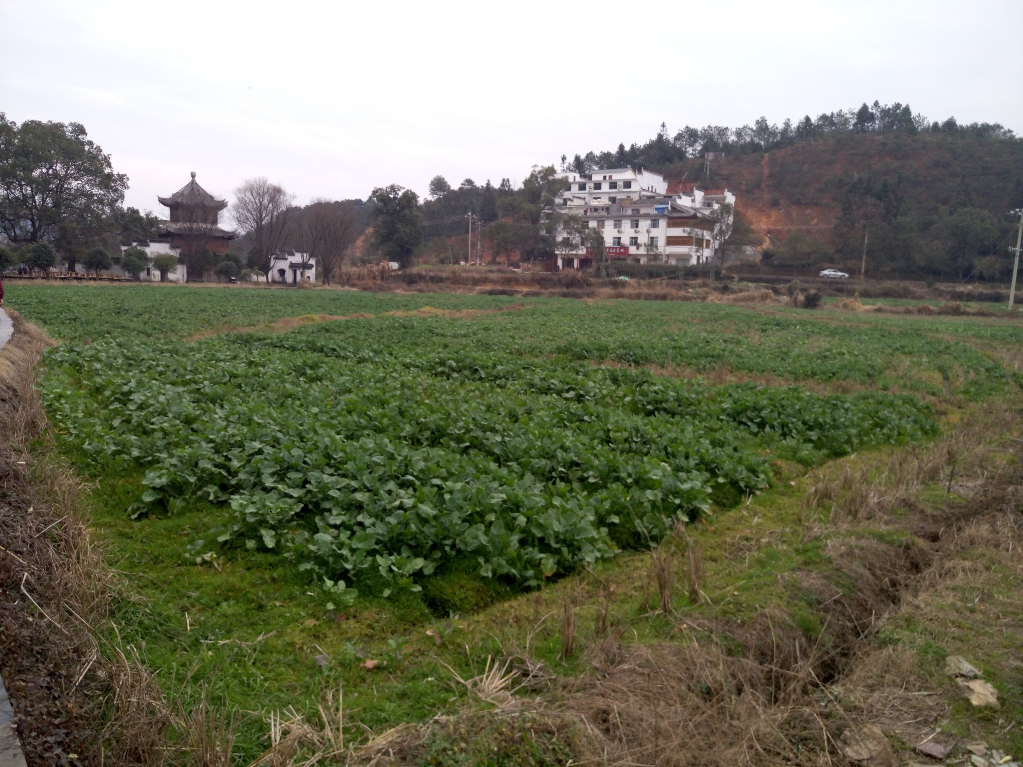 三清山自助遊攻略