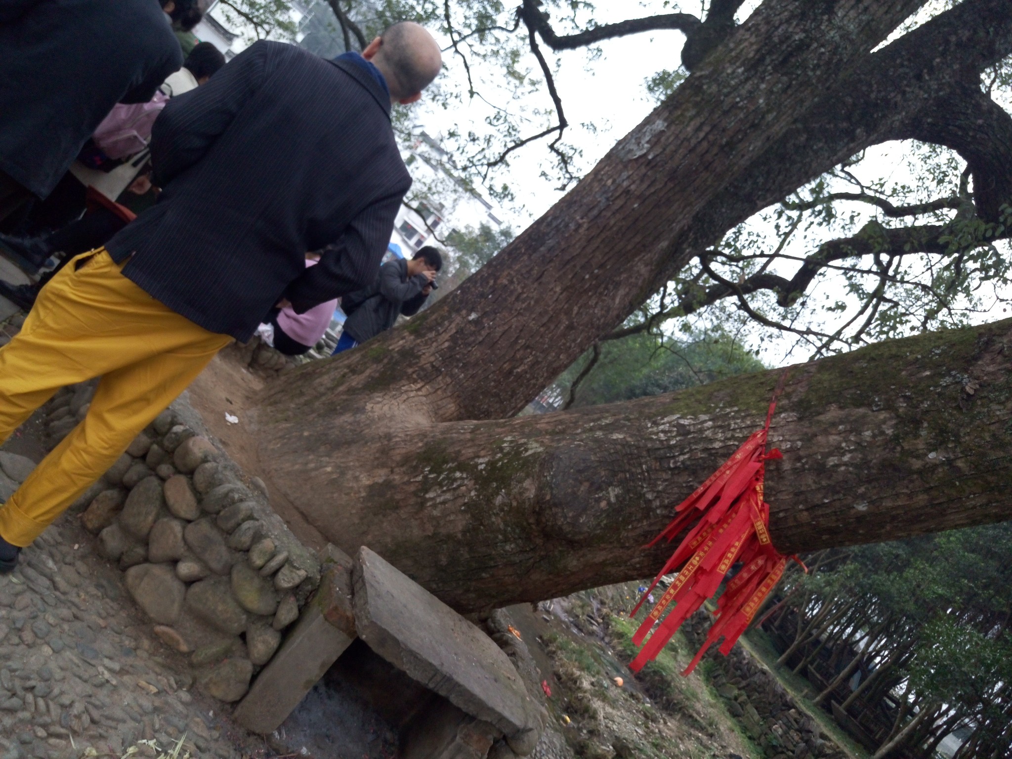 三清山自助遊攻略