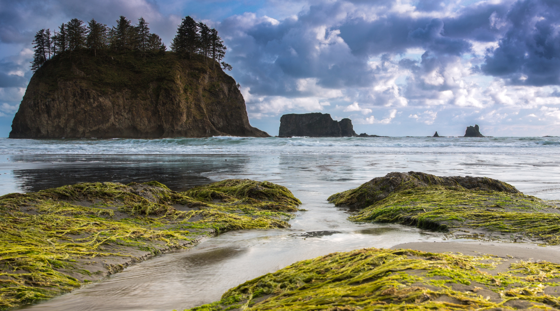 奥林匹克国家公园一日游(暮光之城取景地)