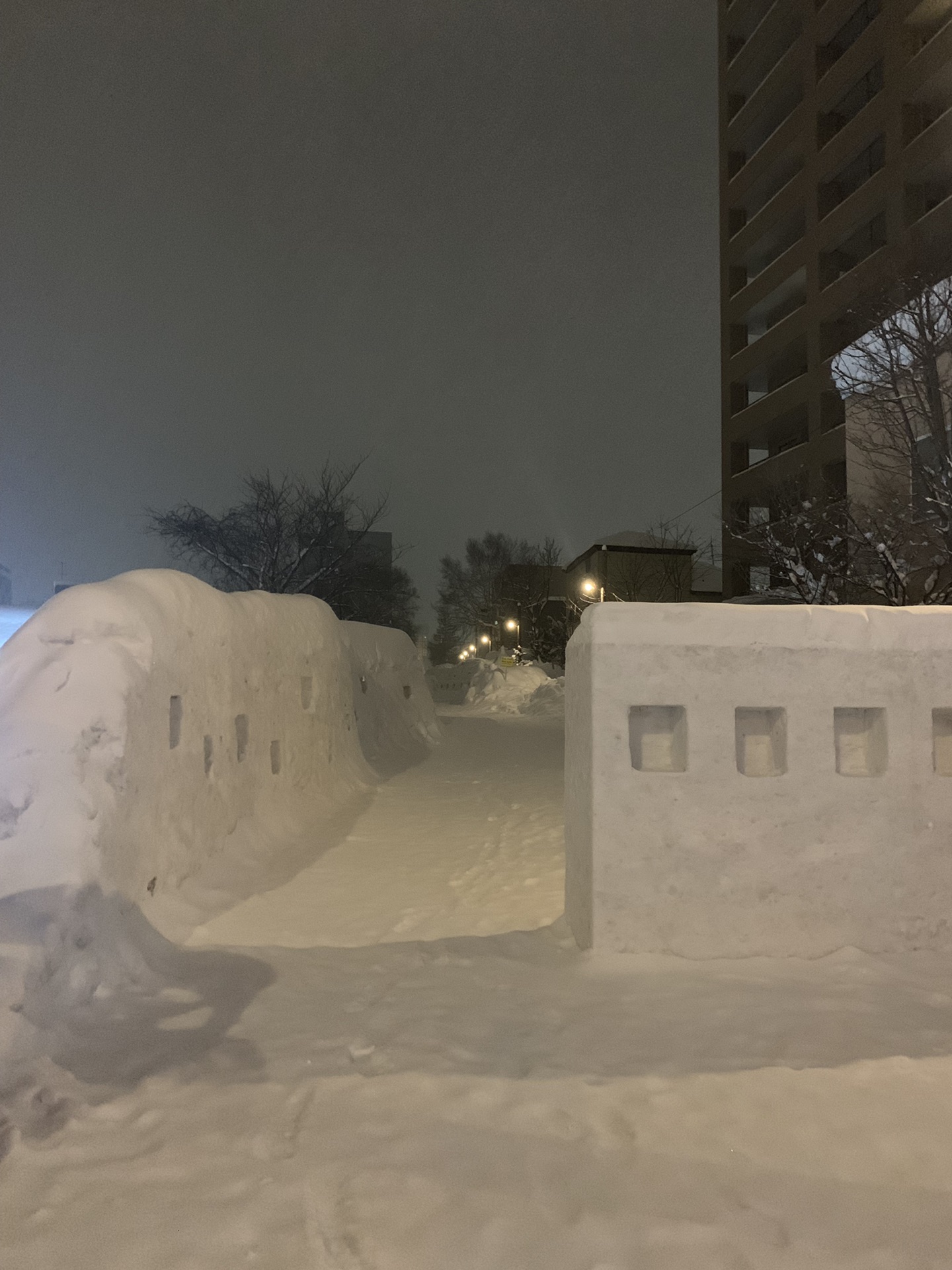 北海道自助遊攻略