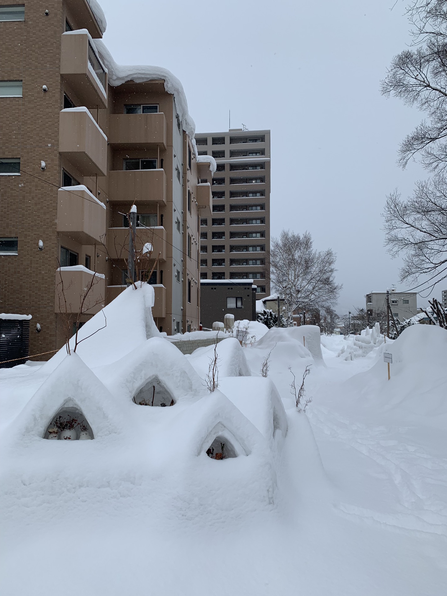 北海道自助遊攻略