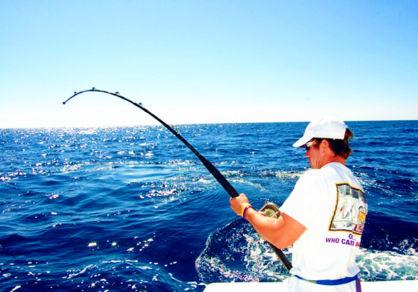 苏梅岛top sea 出海海钓一日游(酒店接送 自助餐 专业导游)