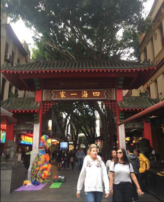 和一只青蛙的澳洲之旅