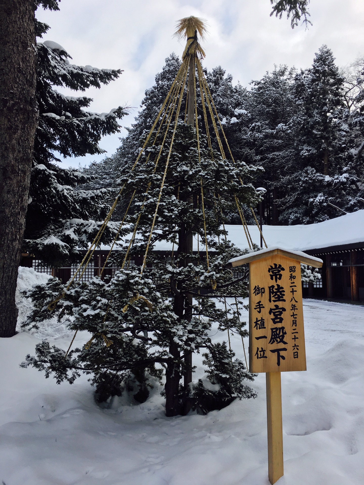 北海道自助遊攻略