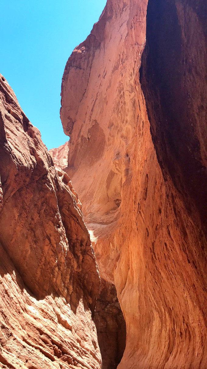 6月2日更新【南疆、北疆】寻找巴依老爷的旅