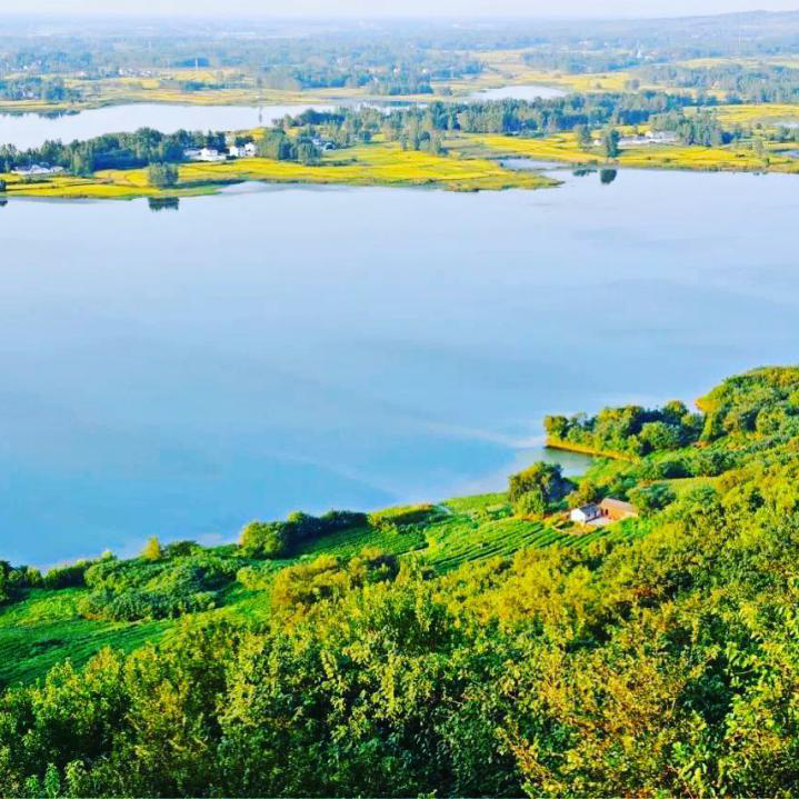 乘着4条地铁线路,游遍南京所有景点
