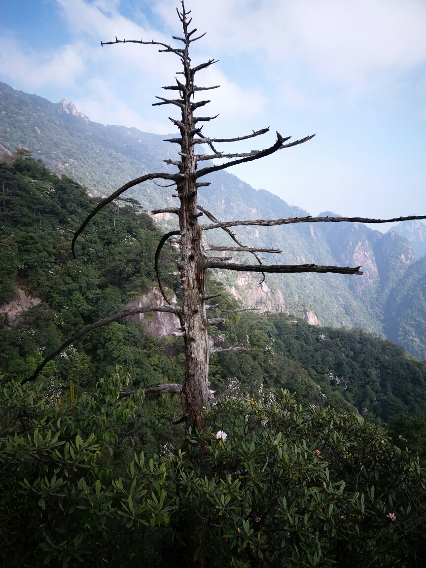 三清山自助遊攻略