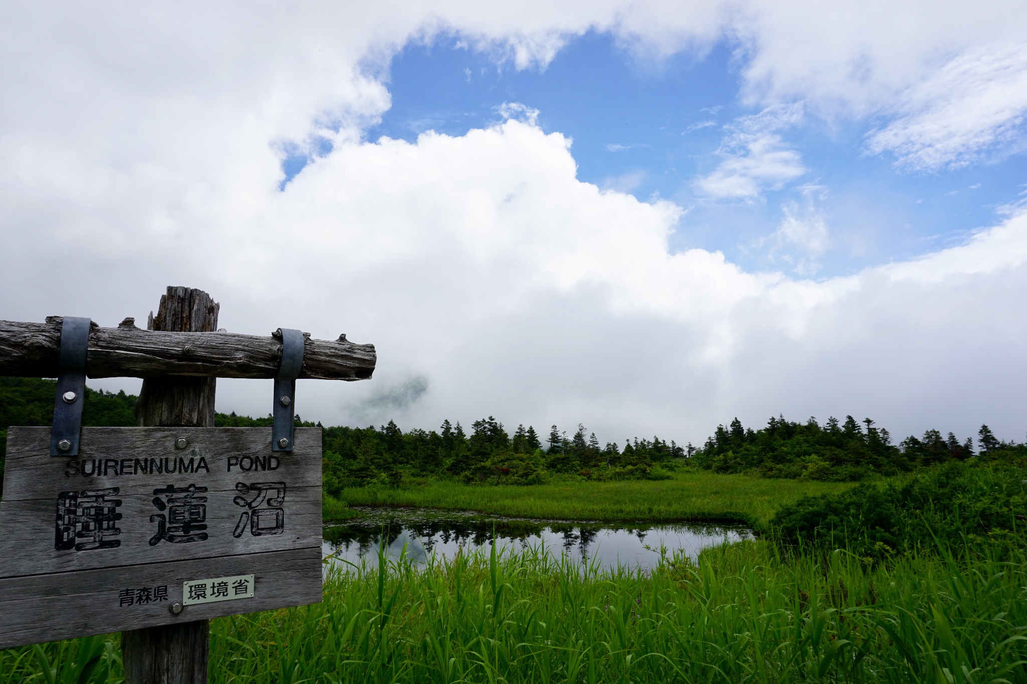 北海道自助遊攻略