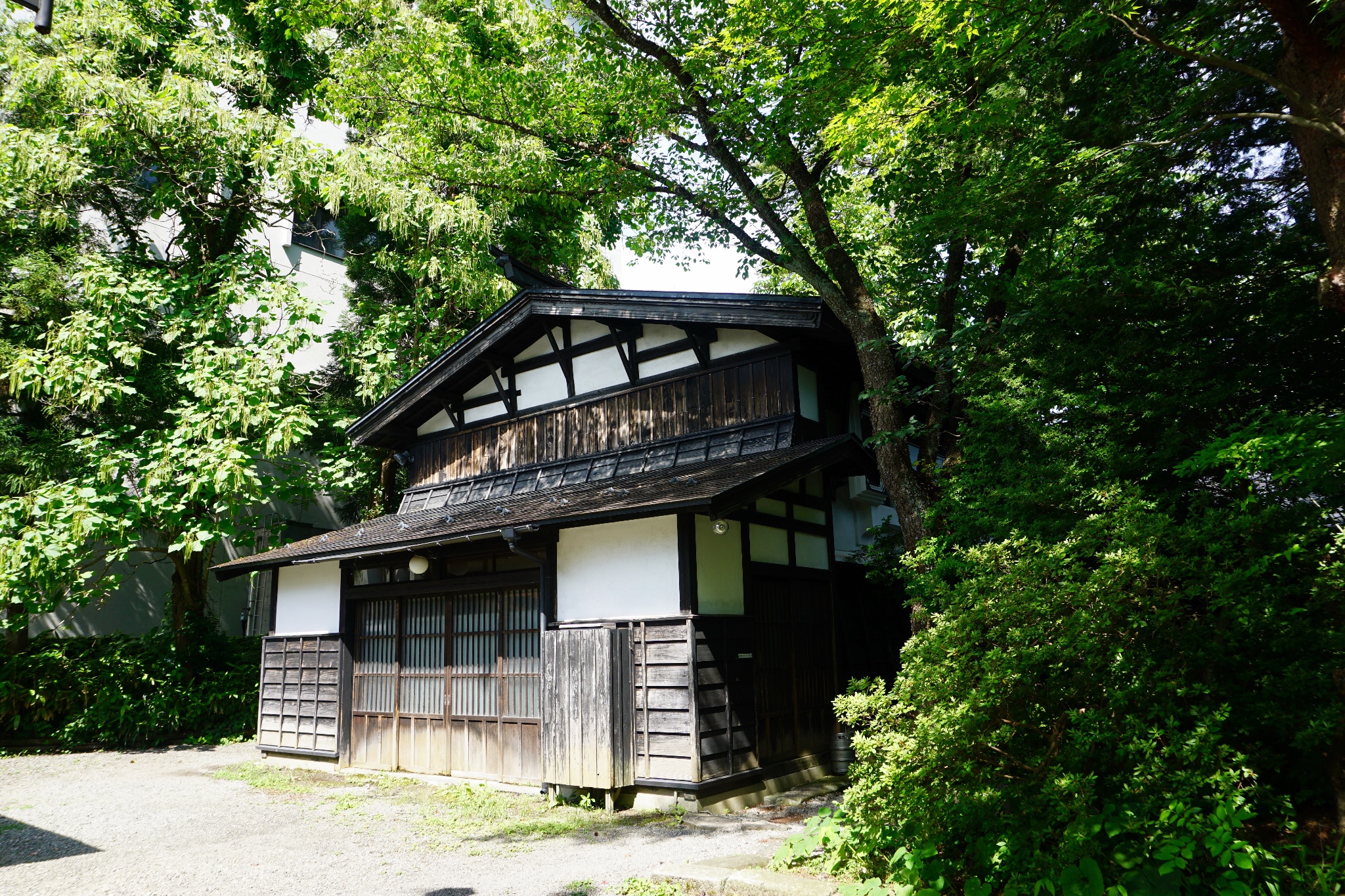 北海道自助遊攻略