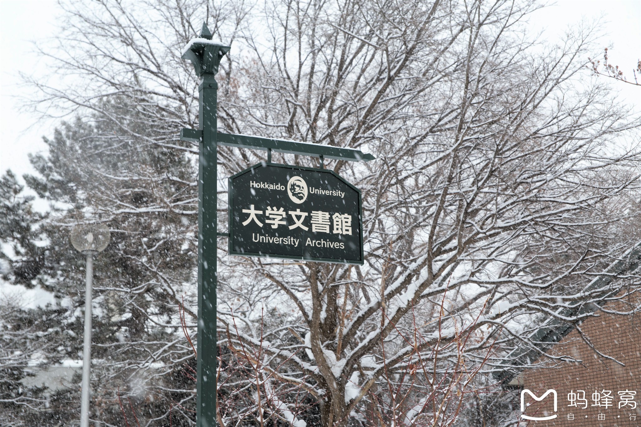 北海道自助遊攻略