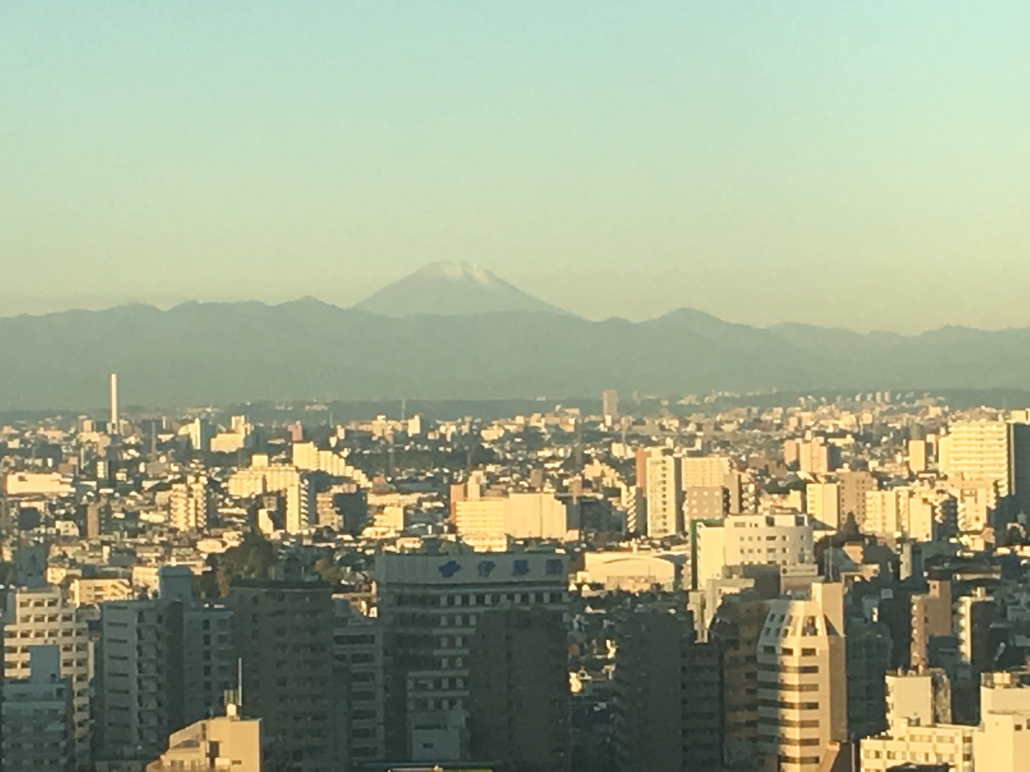 去东京塔 浅草寺 镰仓 迪士尼 住新宿哪个酒店好