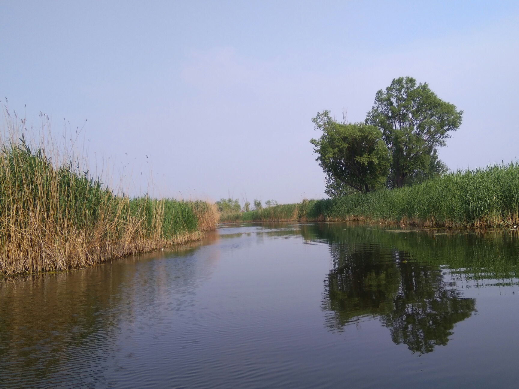 县里GDP高对市里有帮助吗_帮助别人的图片