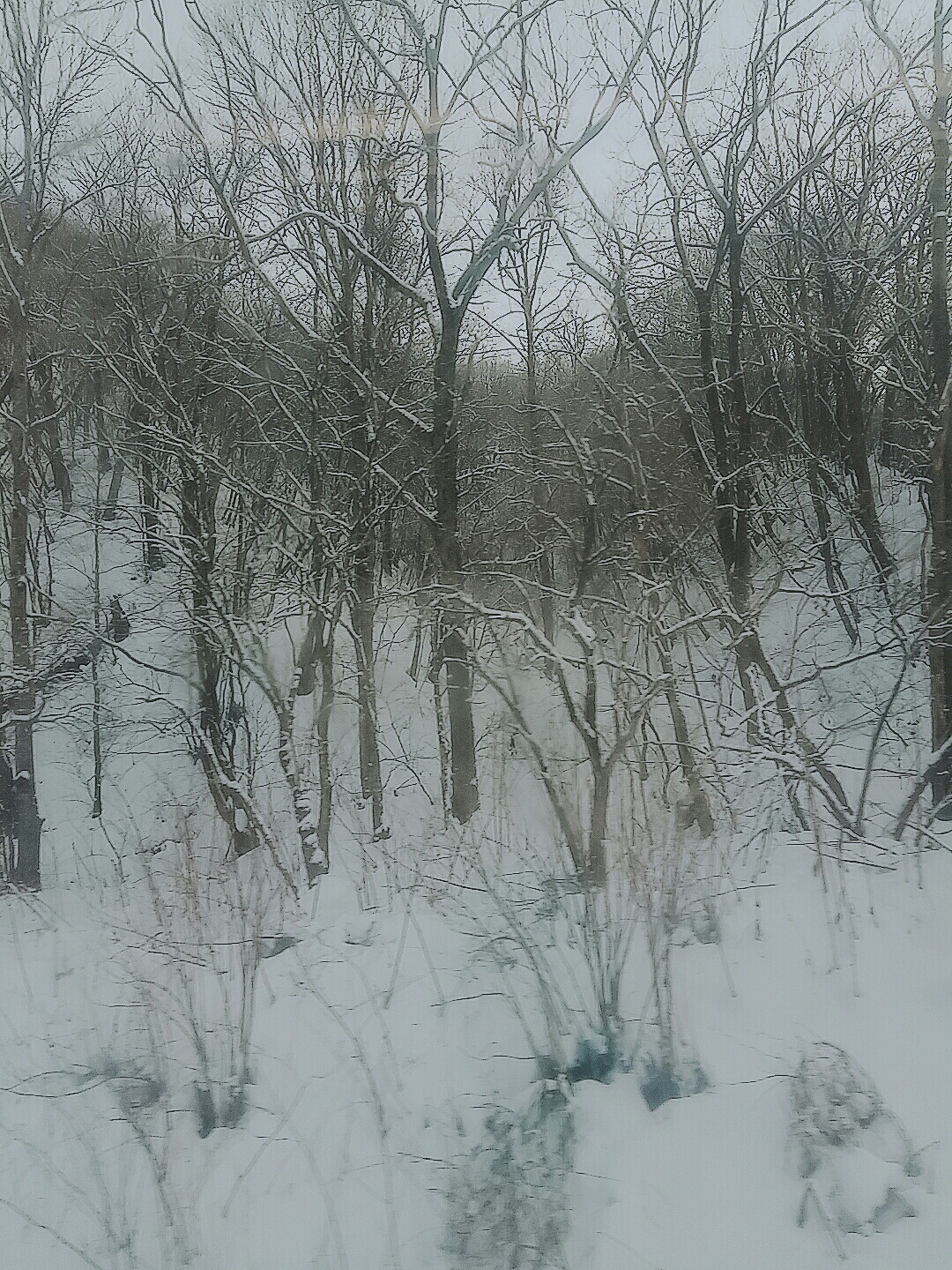 wKgBZ1iAhYiAfI8VABuZalkxEyk10.jpeg?imageView2%2F2%2Fw%2F680%2Fq%2F90%7CimageMogr2%2Fstrip%2Fquality%2F90