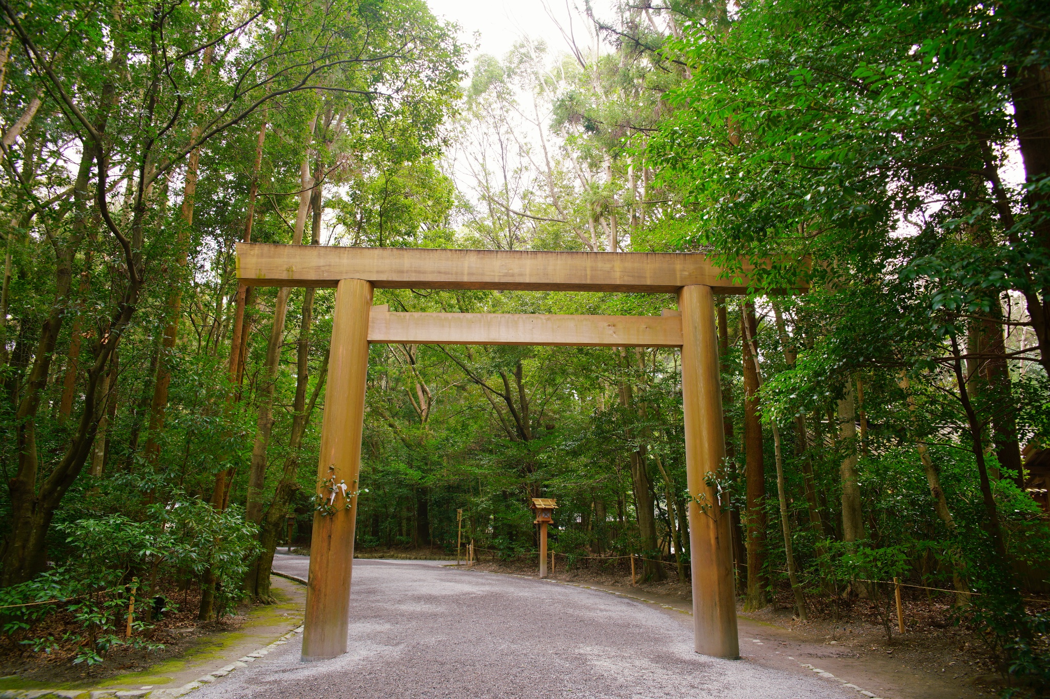 名古屋自助遊攻略