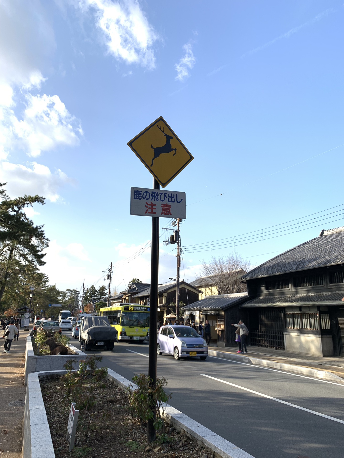 京都自助遊攻略