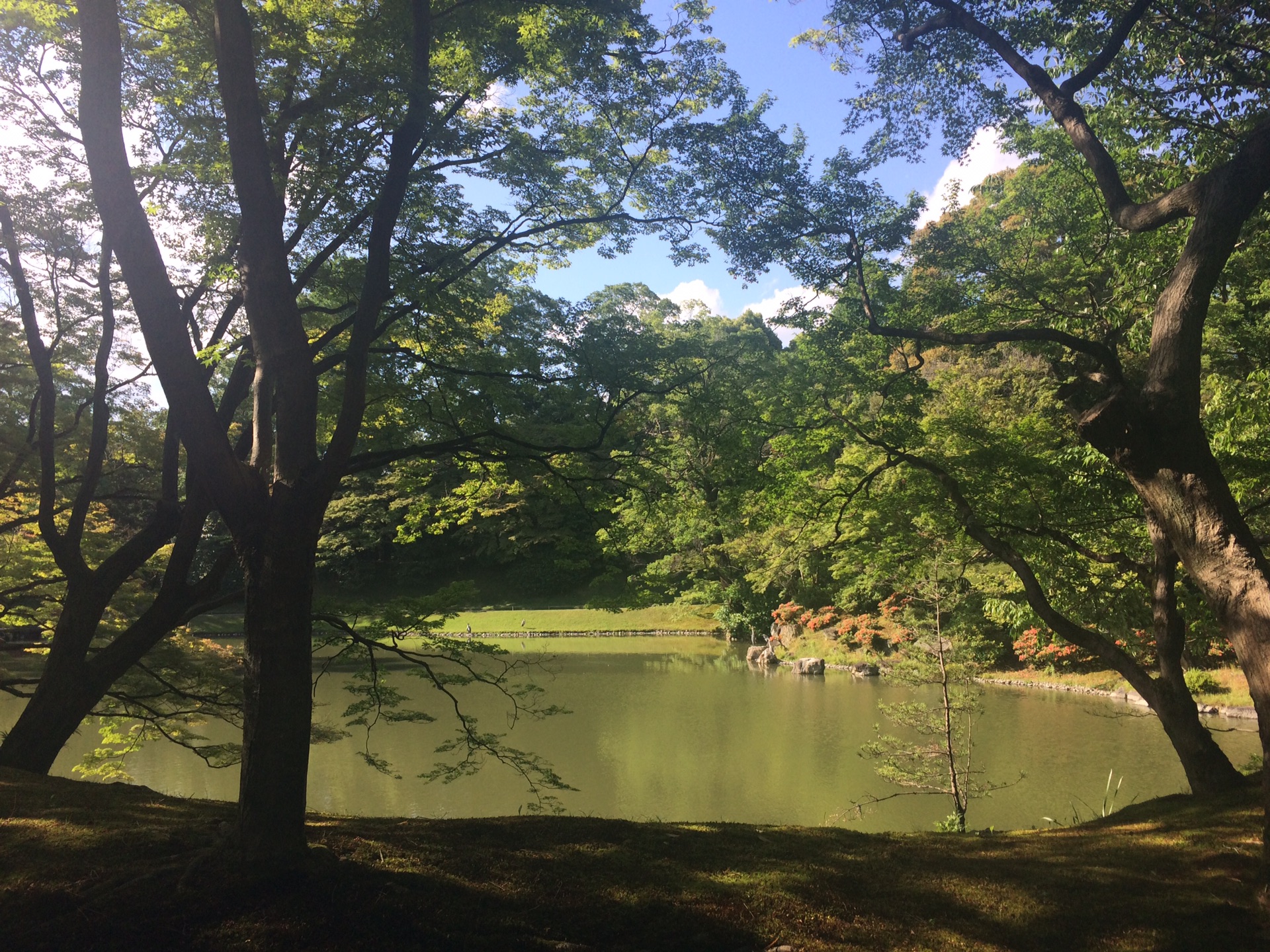 京都自助遊攻略