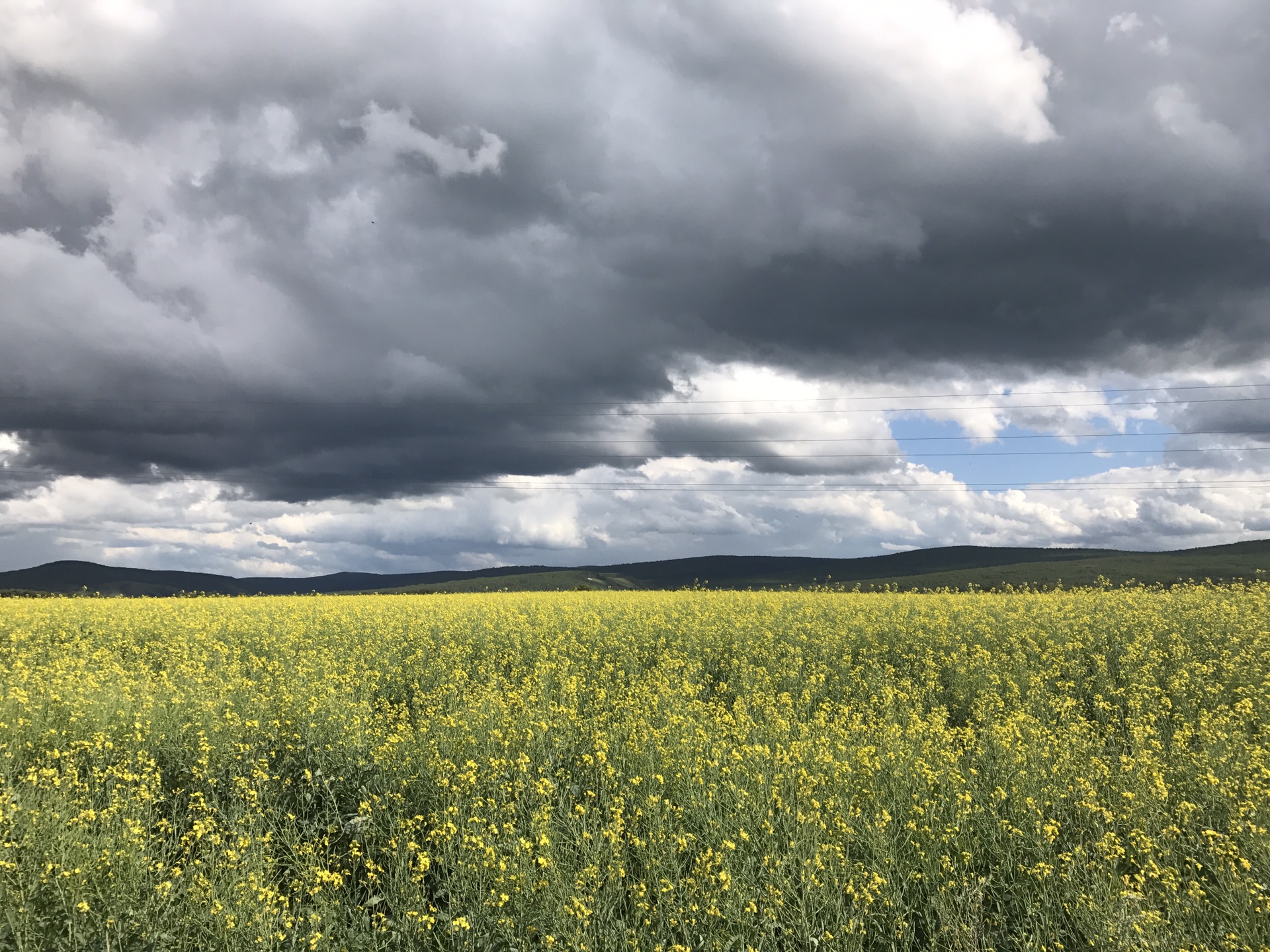 wKgBZ1oJX42AJQu0AA5lFSUL6V434.jpeg?imageView2%2F2%2Fw%2F680%2Fq%2F90%7CimageMogr2%2Fstrip%2Fquality%2F90