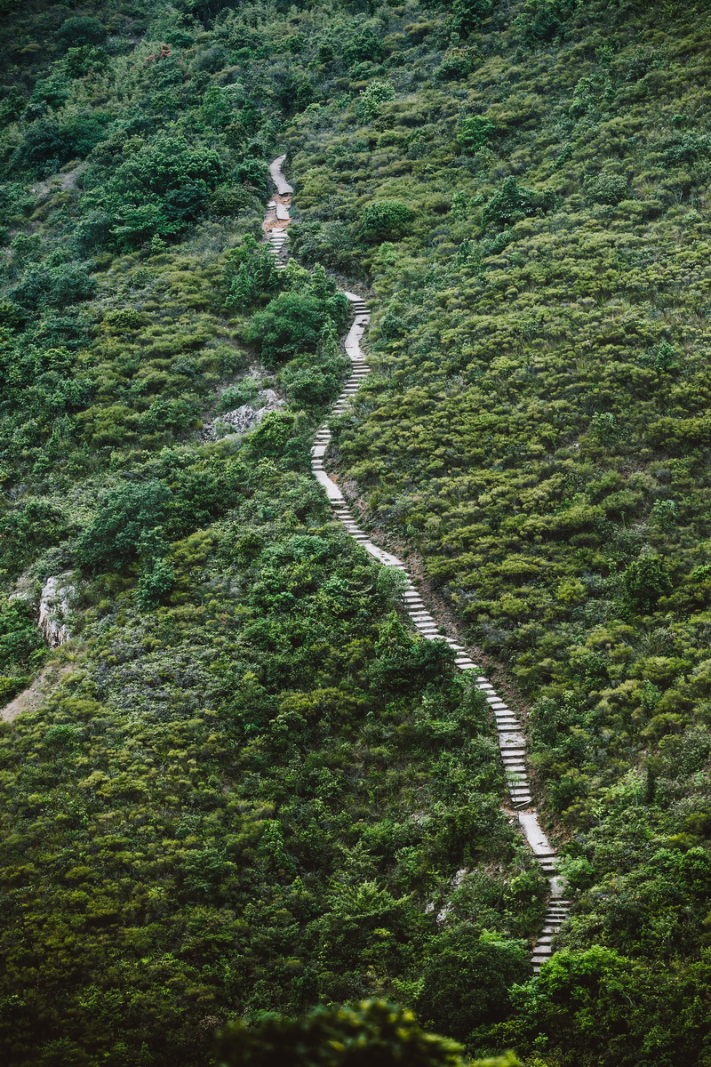 香港人口爬山_香港人口