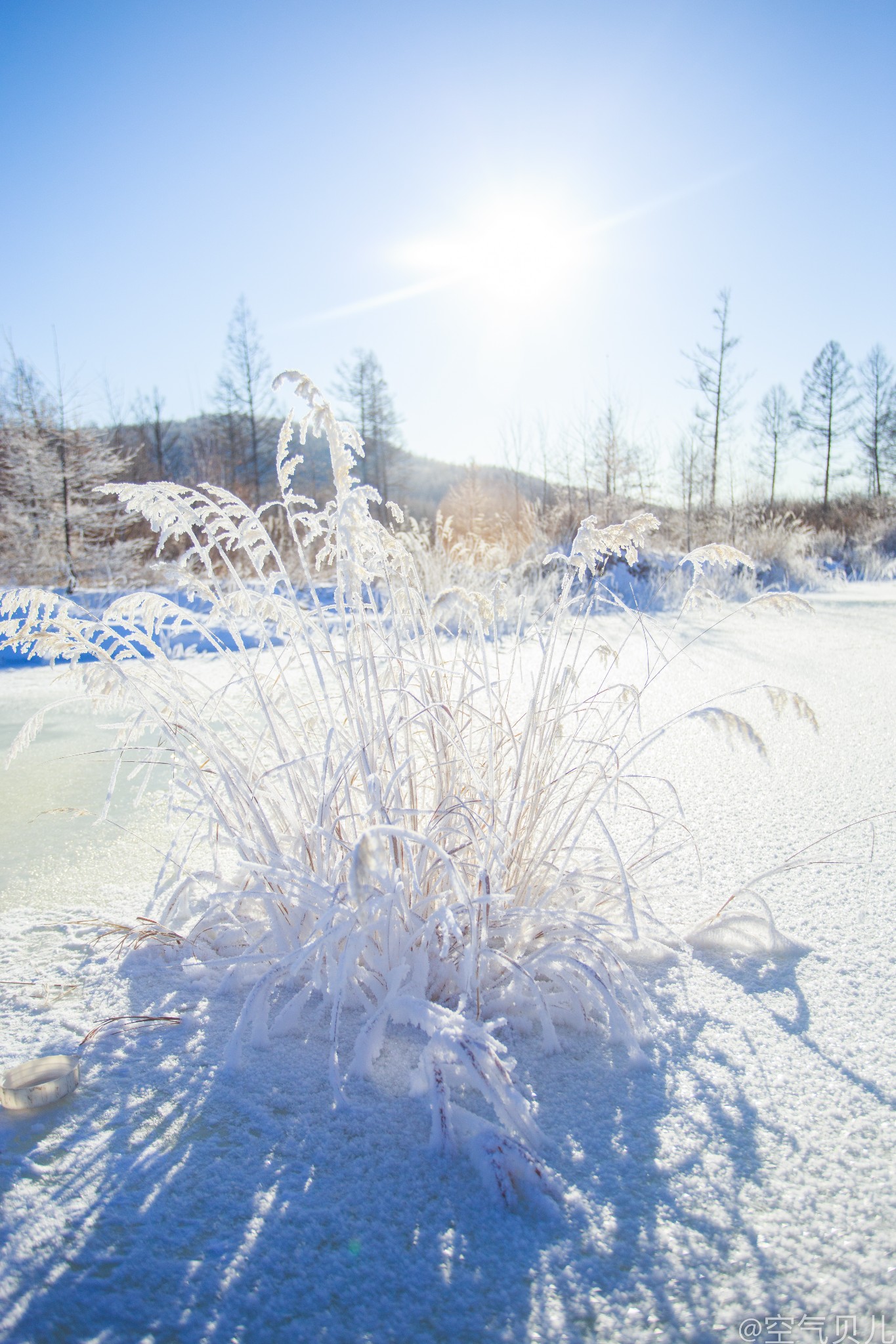 冬季内蒙来看雪,呼伦贝尔一个南方孩子的北国梦
