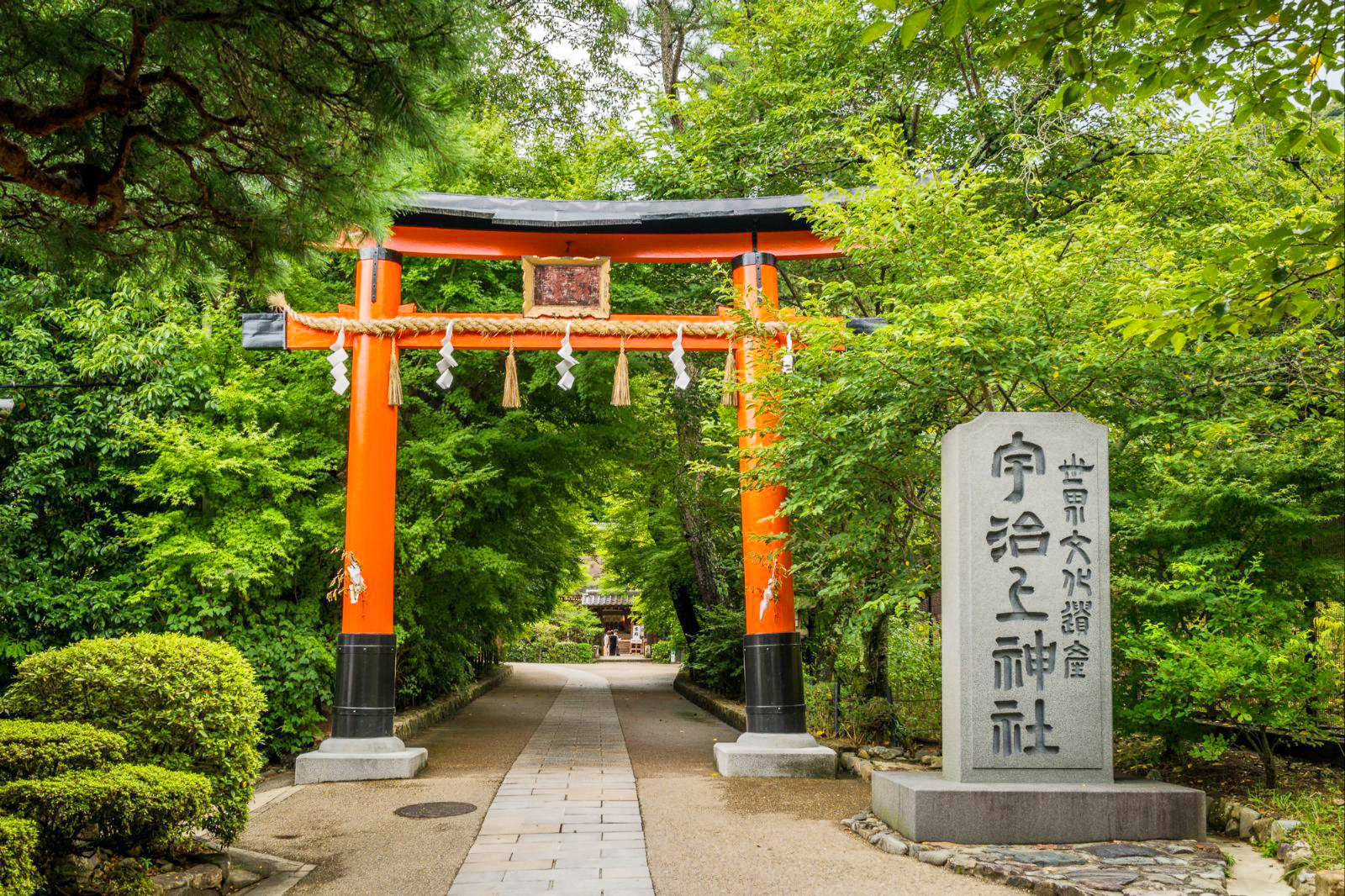 宇治一日经典美食美景游(宇治上神社 平等院 正宗抹茶点心 宇治 ))