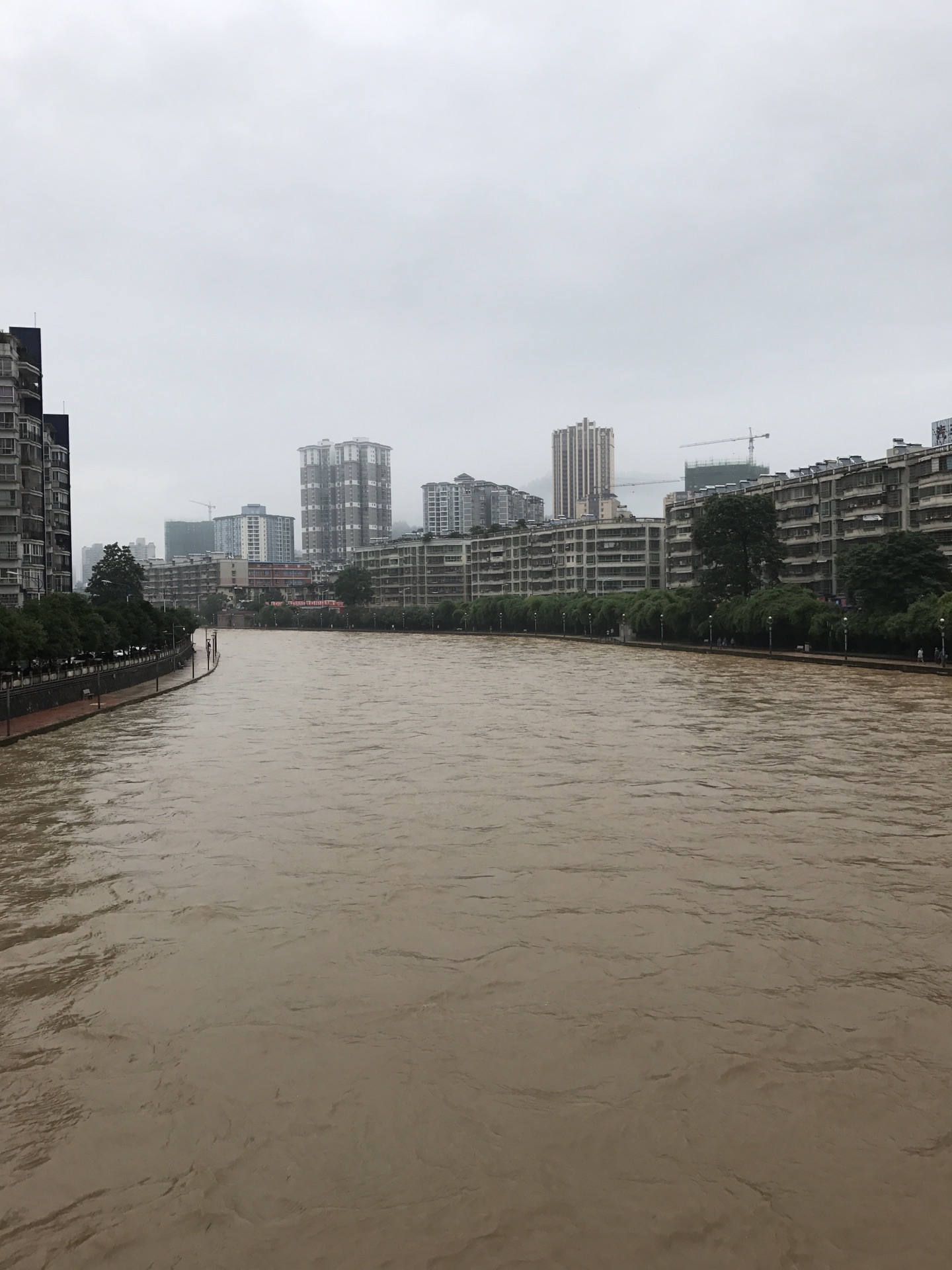 北海侨侨人口_广西省北海莫氏人口(2)