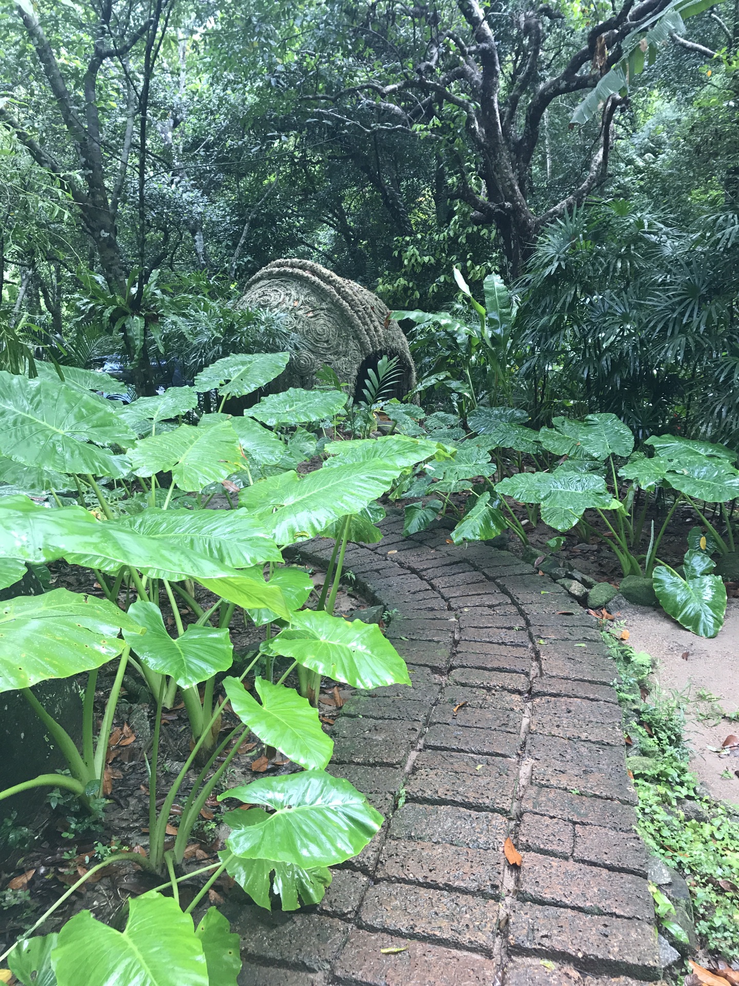 普吉島自助遊攻略