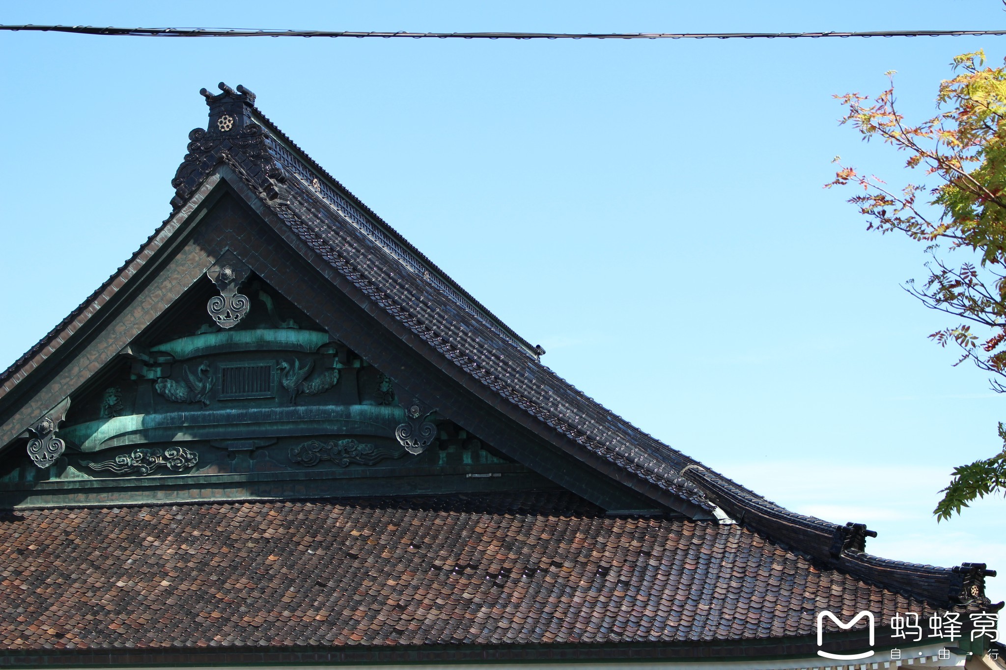 璋佷笉璇村挶瀹朵埂濂界_峡阳镇大埂村(2)