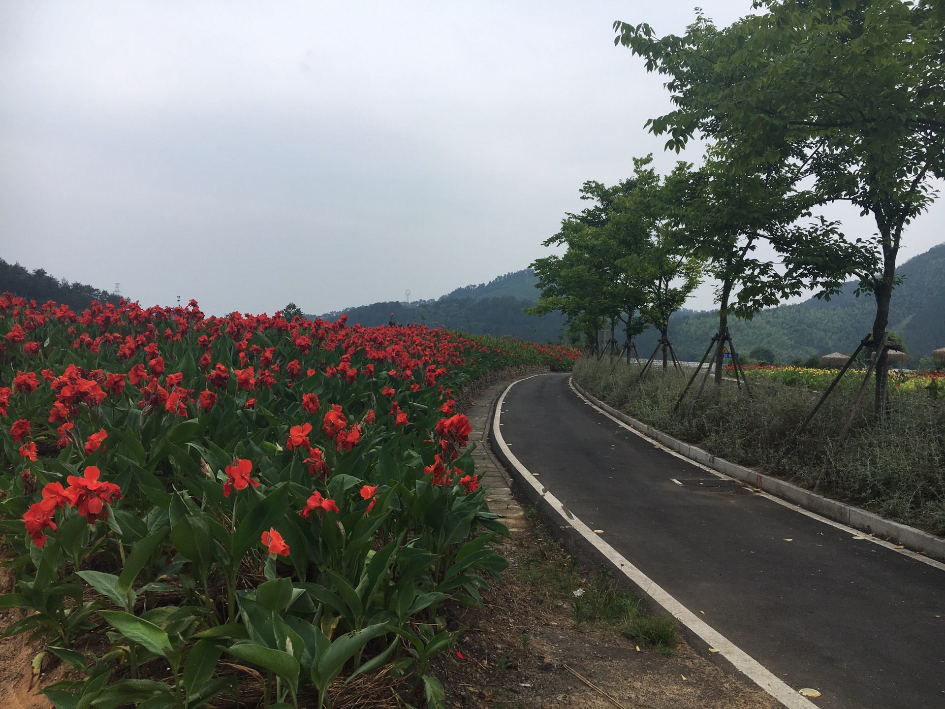 千島湖自助遊攻略