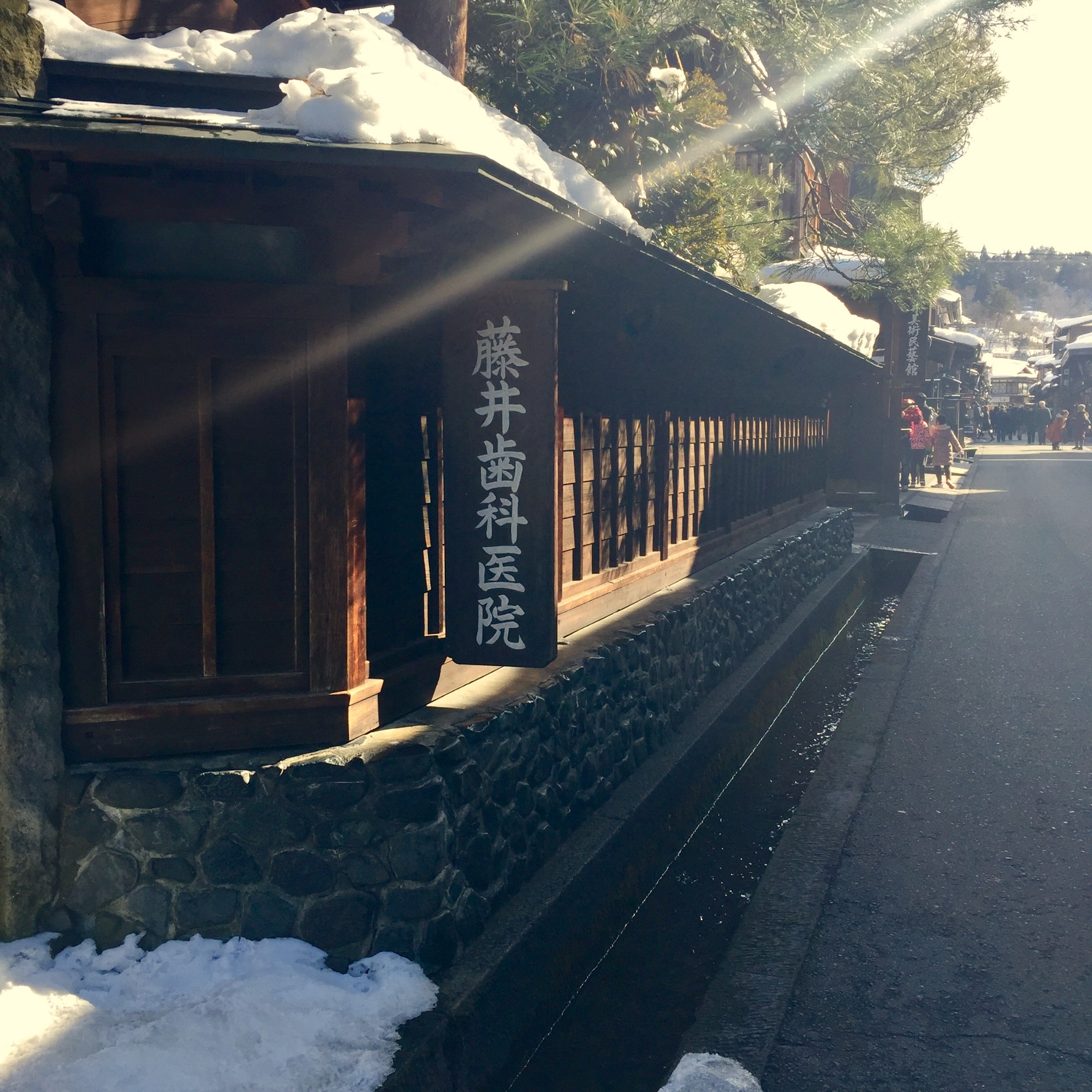 北海道自助遊攻略