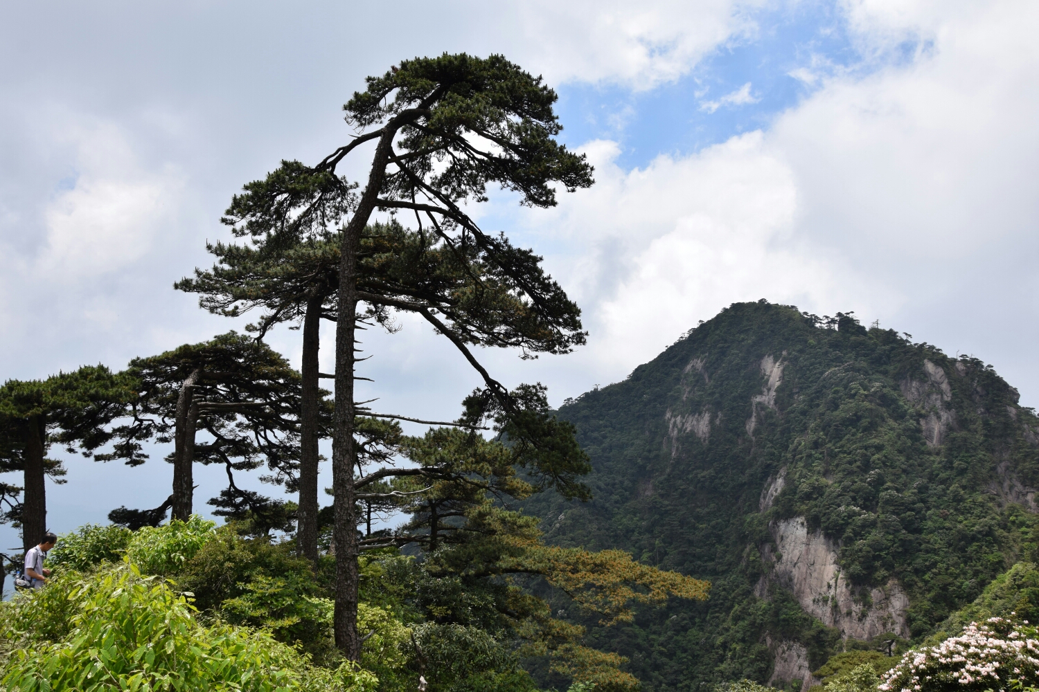 三清山自助遊攻略