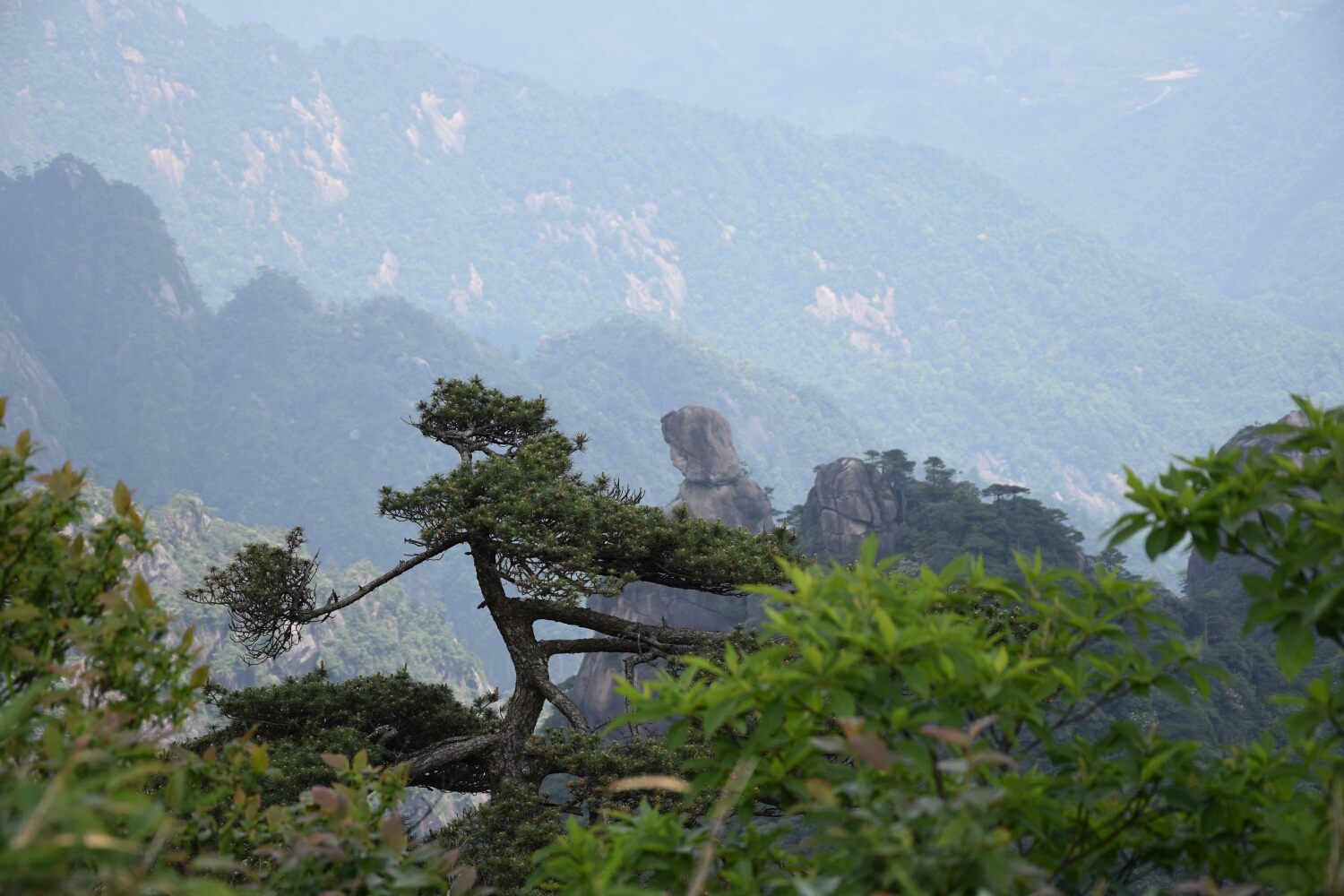 三清山自助遊攻略