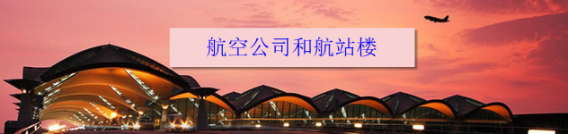航空公司和航站楼 航空公司和航站楼