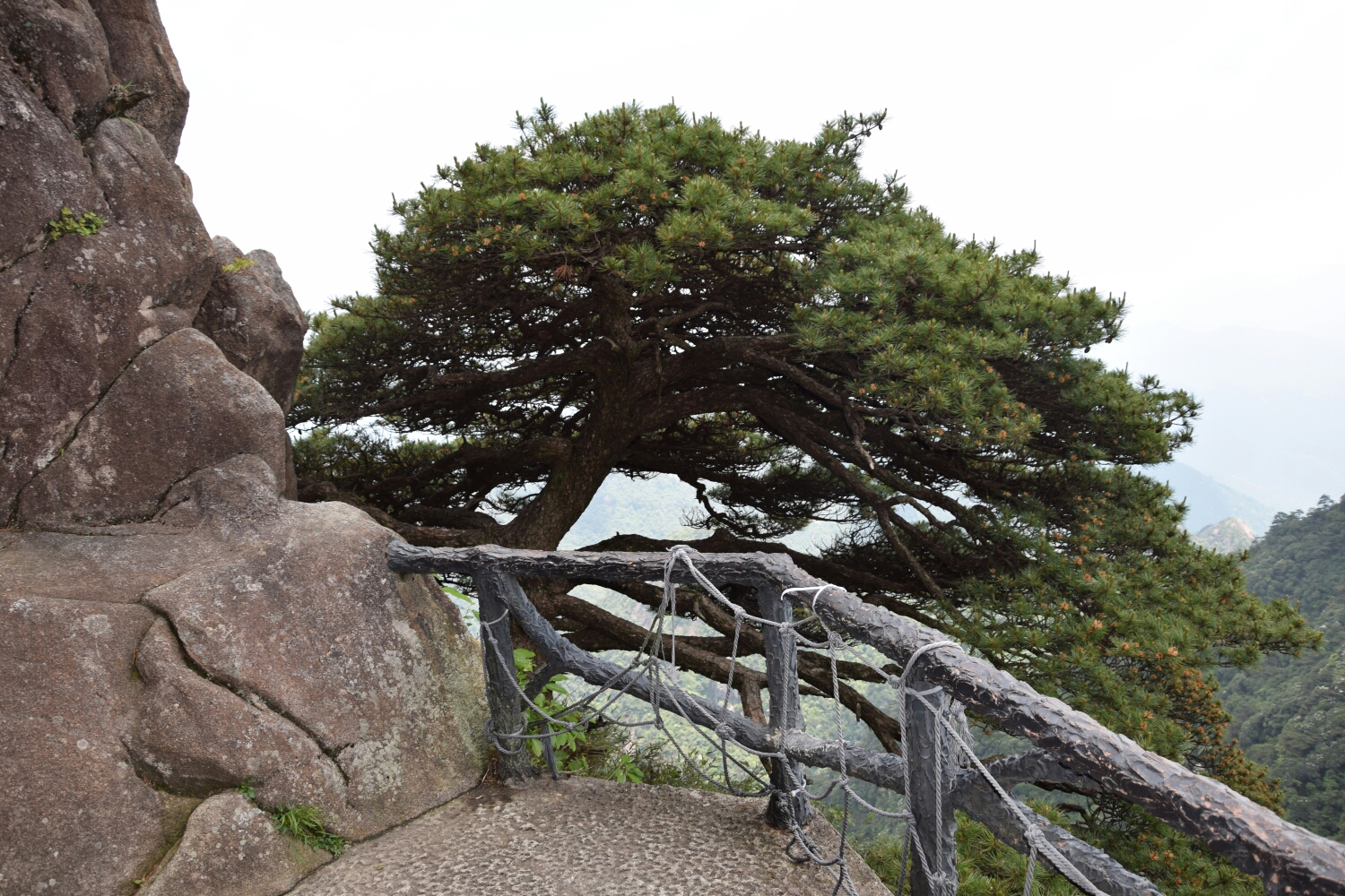 三清山自助遊攻略