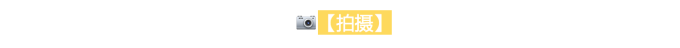 拍摄 拍摄
