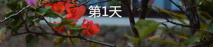 1 1