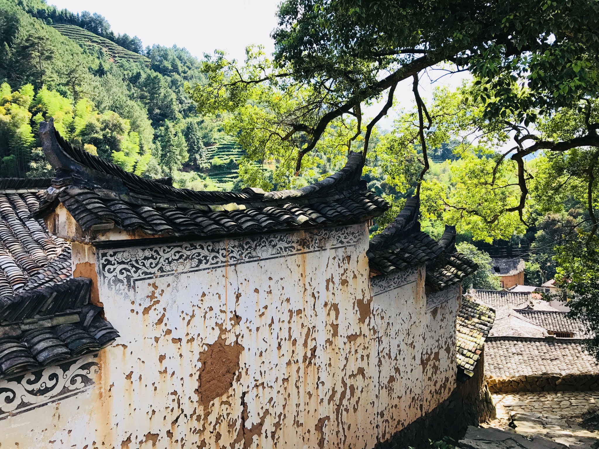 福建自助遊攻略