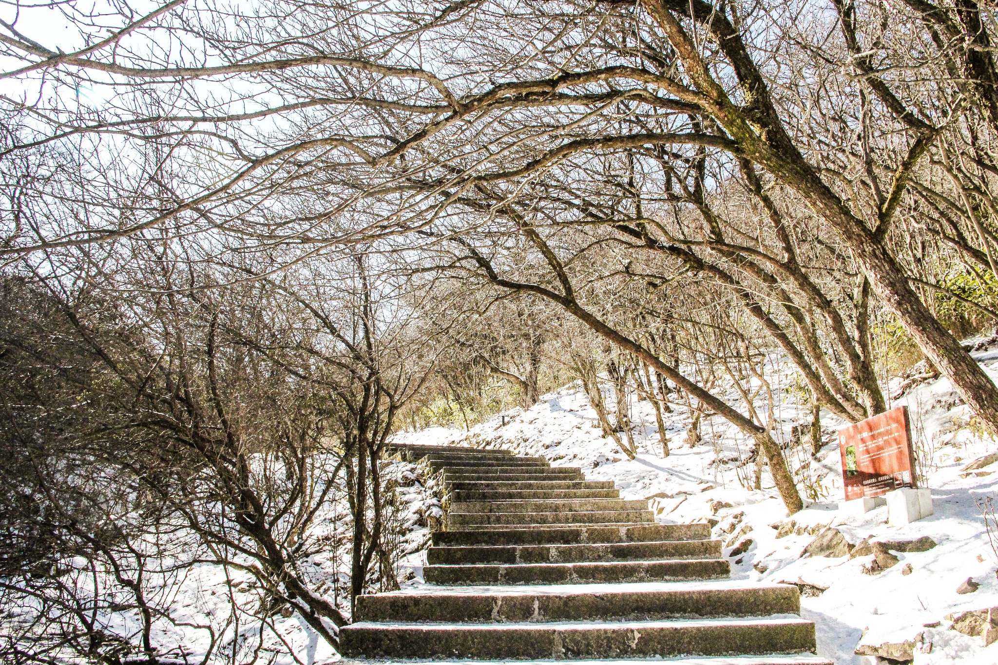 黃山自助遊攻略