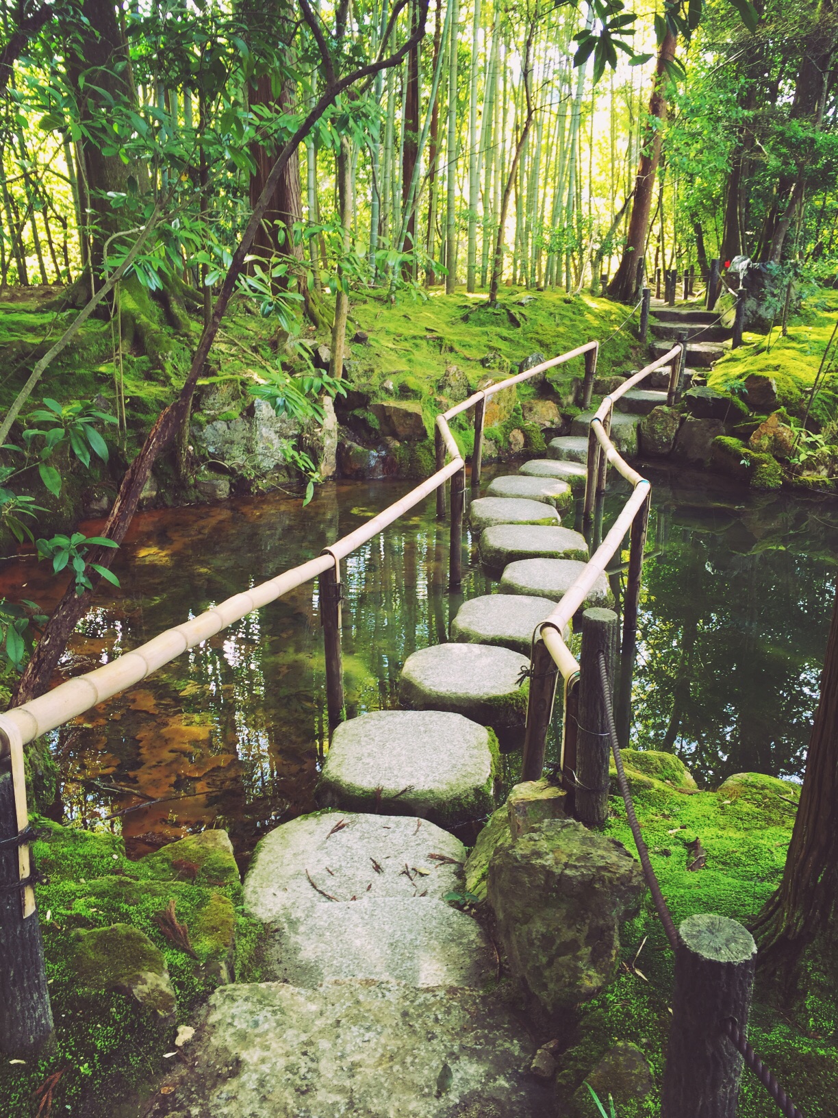 京都自助遊攻略