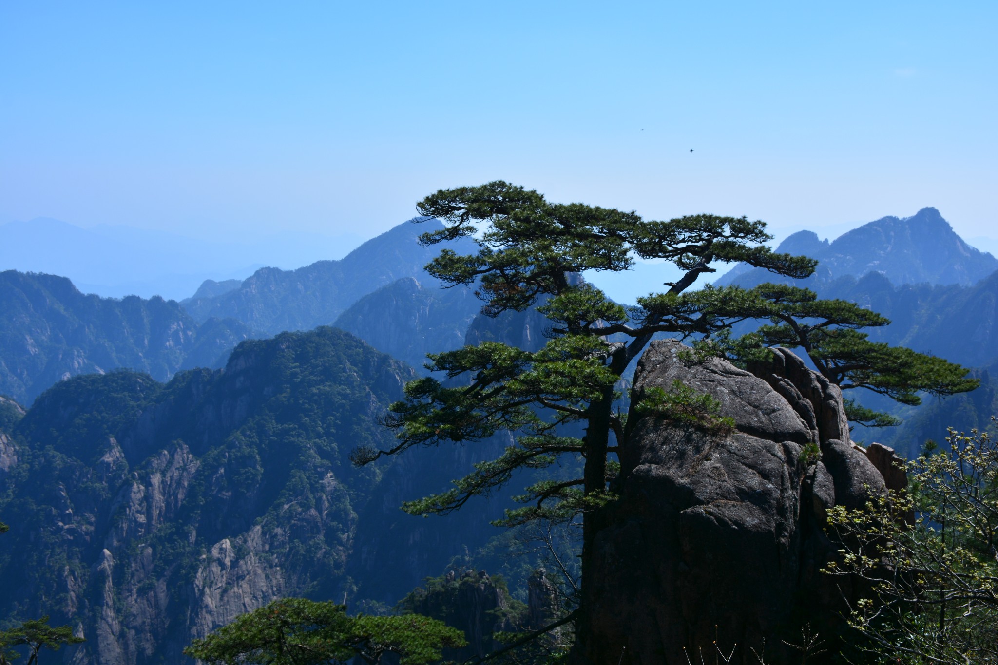 黄山有多少人口_让人 归来不看岳 的黄山,给你好看 附三日环线安排(2)