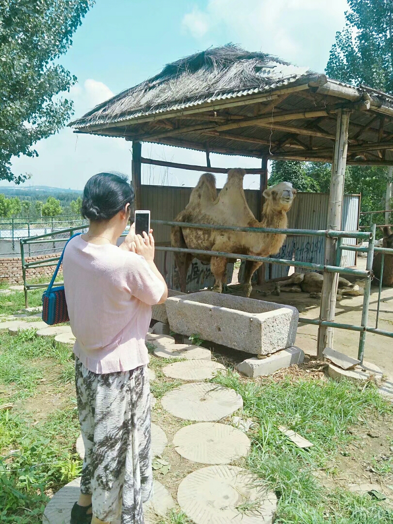 wKgBZ1opDXGANZLNAA5AF6JwdTs79.jpeg?imageView2%2F2%2Fw%2F680%2Fq%2F90%7CimageMogr2%2Fstrip%2Fquality%2F90