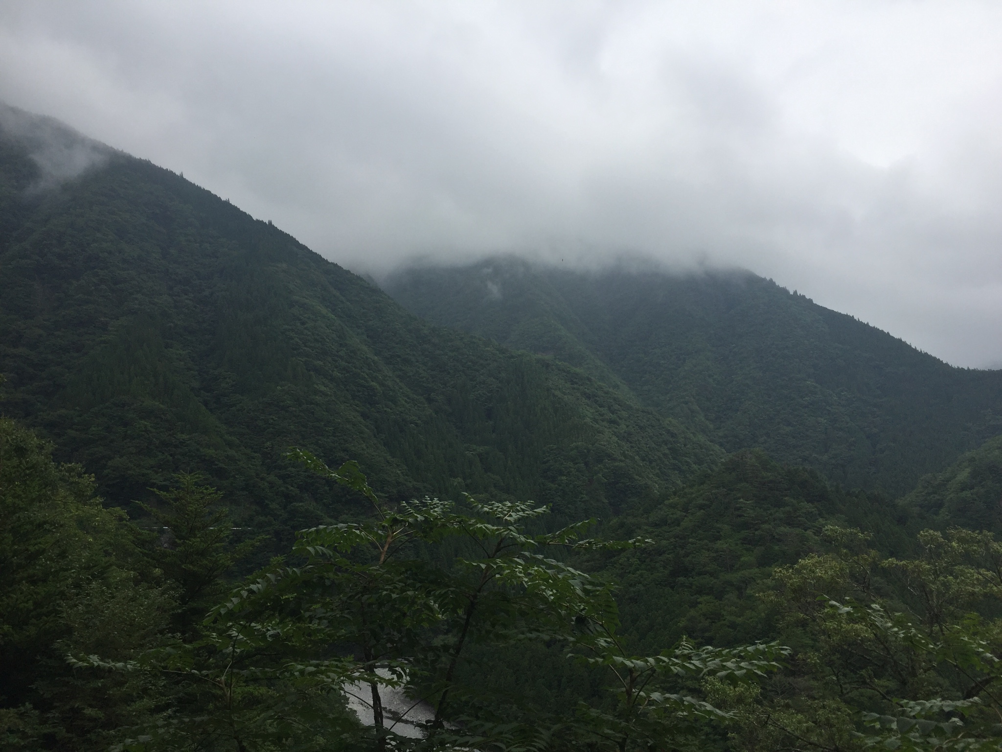 名古屋自助遊攻略