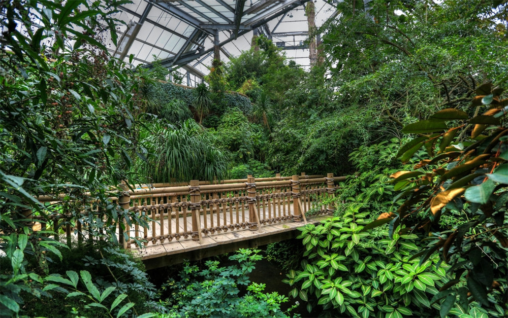 廣州華南植物園門票(出行無憂 無需排隊)