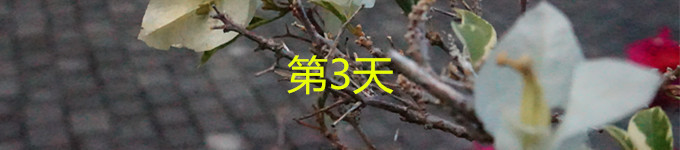 3 3